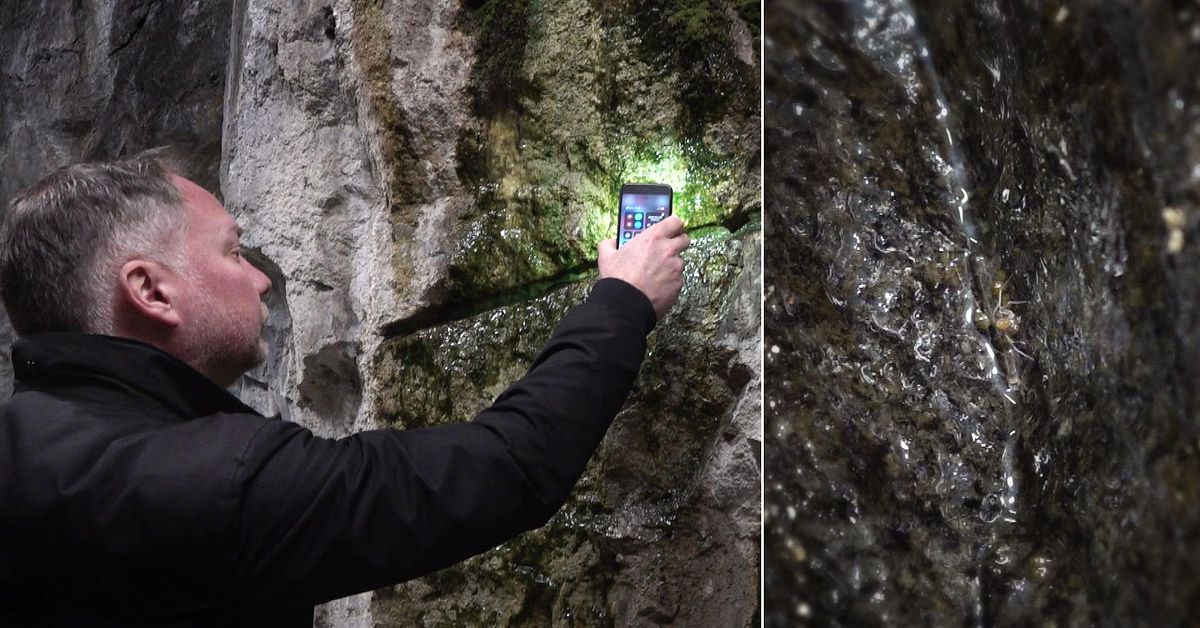 Unik spindel i Kungsträdgårdens tunnelbana kvar – blev nästan ...