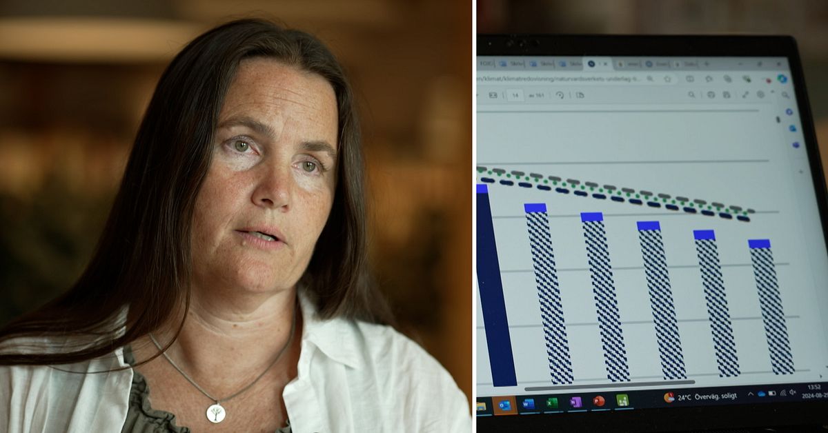 Här är siffrorna regeringen inte visar