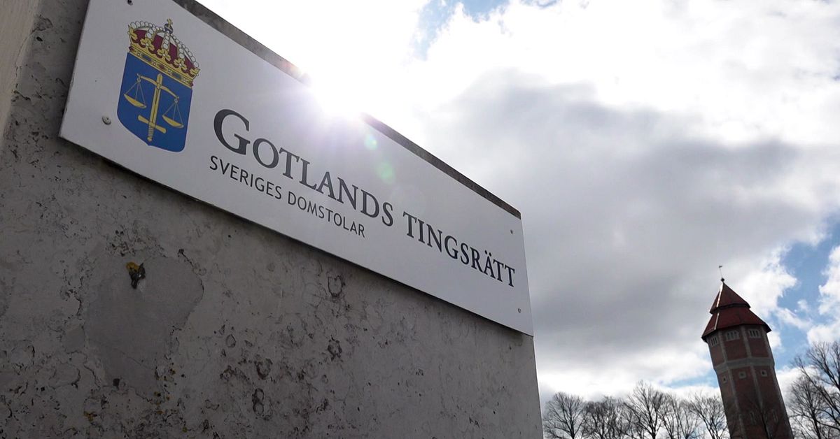 Sk&ouml;t offret med hagelb&ouml;ssa &ndash; 67-&aring;rig gotl&auml;nning d&ouml;ms f&ouml;r mord