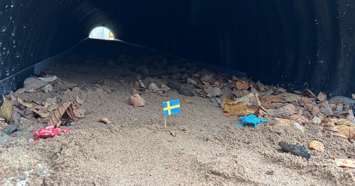 Tunnlar under vägen ska rädda livet på grodor på Öland