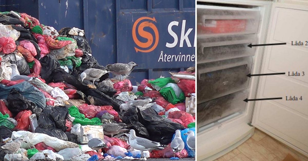 Polisen s&ouml;kte efter styckade kroppen i soporna &ndash; var f&ouml;r sent ute