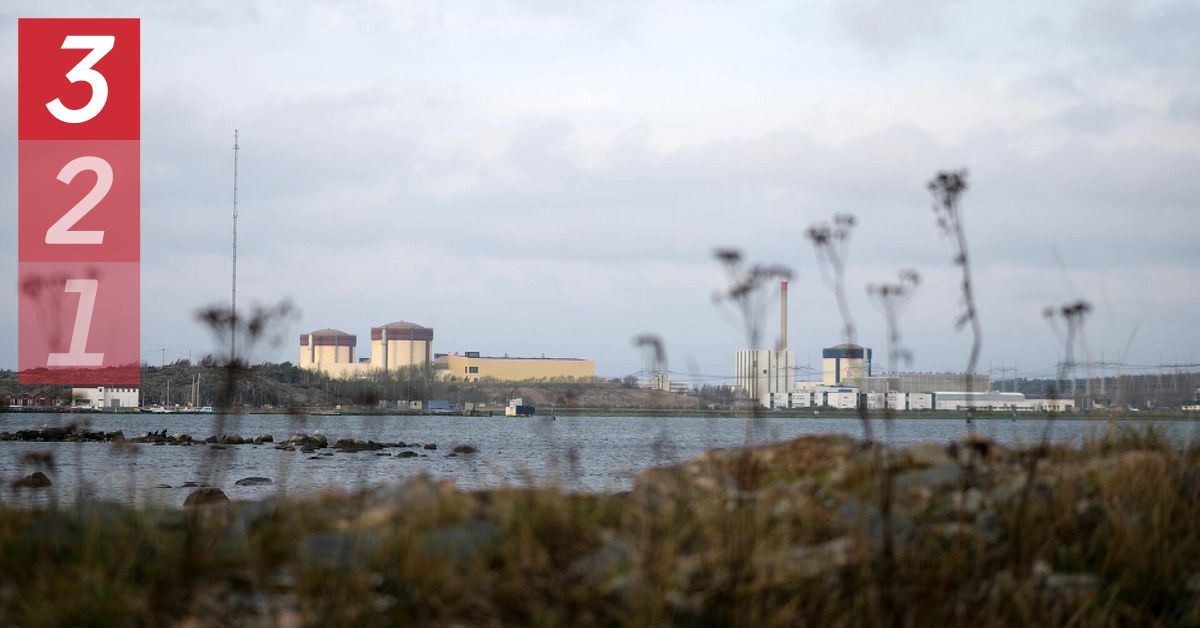 Regeringen vill k&ouml;pa in sig i ny k&auml;rnkraft