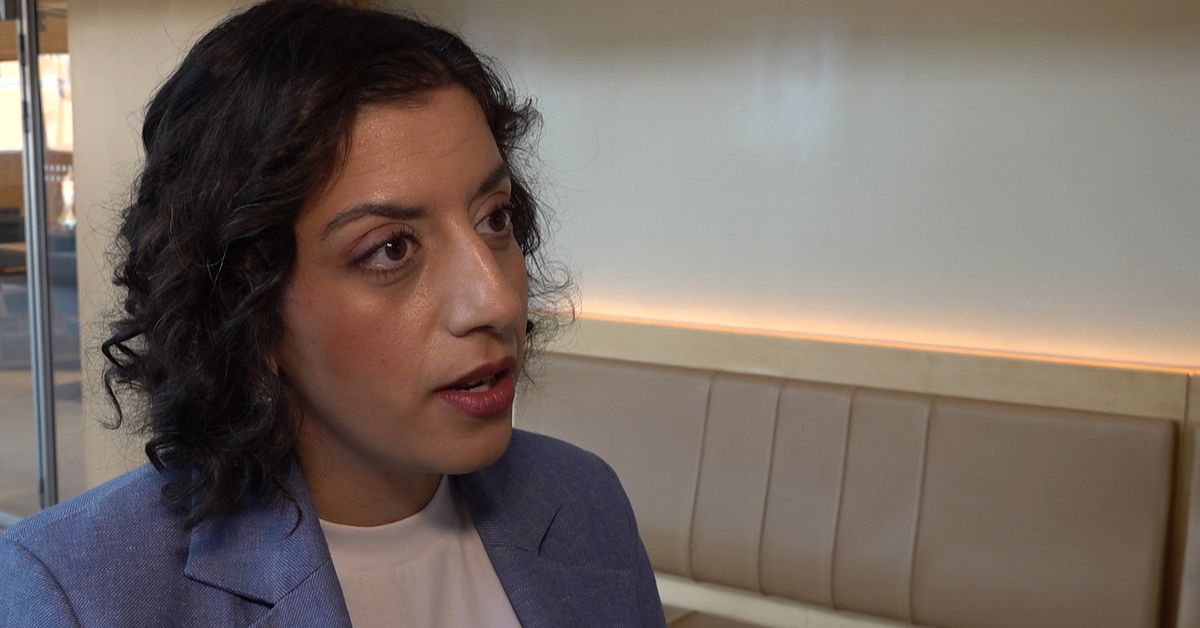 Mohamssons svar till Jomshof: Inte l&auml;mplig