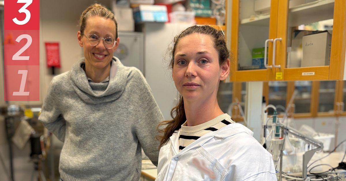 Plastprodukterna som är på väg ut – ersätts av material från skogen
