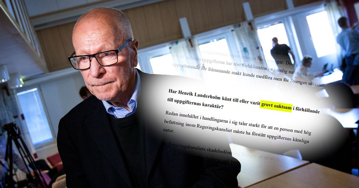 Rättsexperten: Därför friades Henrik Landerholm