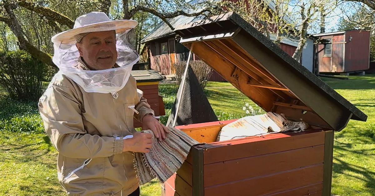 Allt fler fastnar f&ouml;r biodling &ndash; Tomas ger hem till tusentals