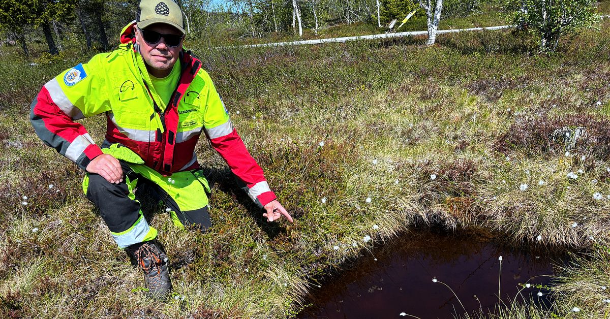 www.svt.se