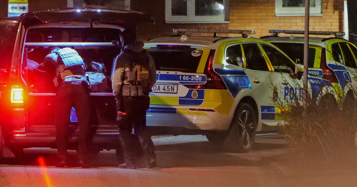 Skott mot bil i Malm&ouml; &ndash; en gripen