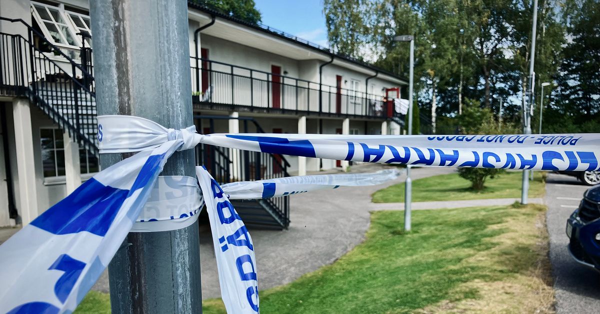 Kvinna m&ouml;rdade sin mamma &ndash;  d&ouml;ms till r&auml;ttspsykiatrisk v&aring;rd