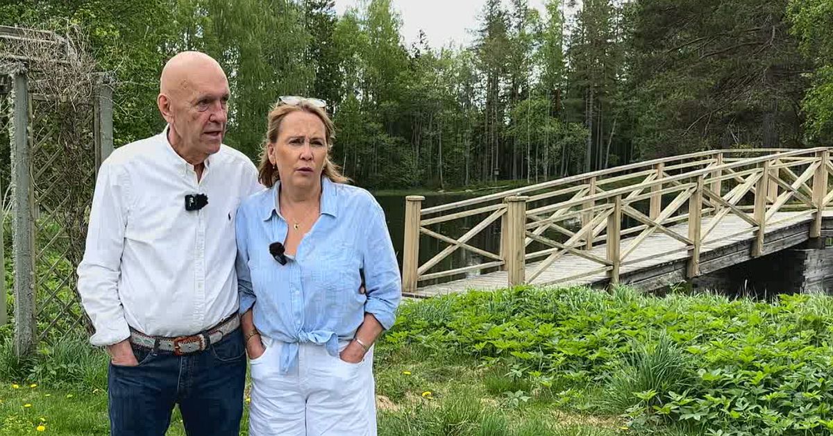 Paret r&auml;ddar herrg&aring;rdsdammen i L&aring;ngvind &ndash; k&ouml;per marken av Holmen