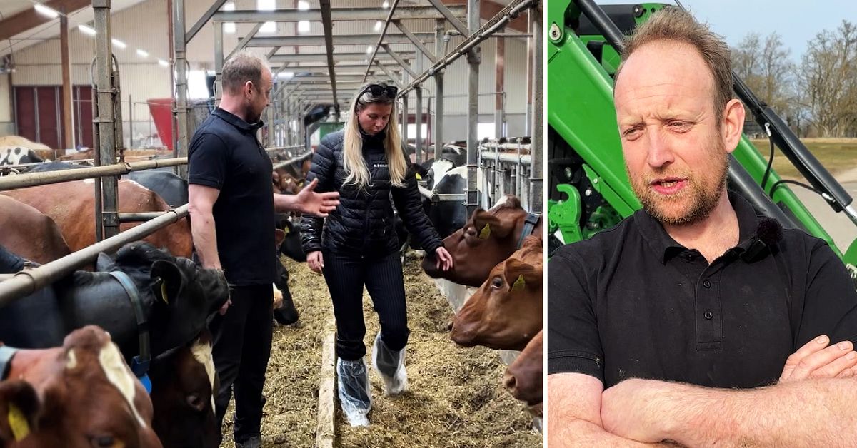 Höga bränslepriser slår mot bönder i Småland: ”Kalkylen går inte ihop”