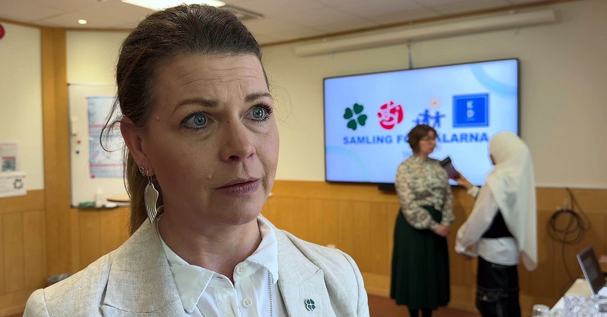 De vill l&auml;gga 41 miljoner kronor p&aring; att stabilisera Cosmic i Dalarna