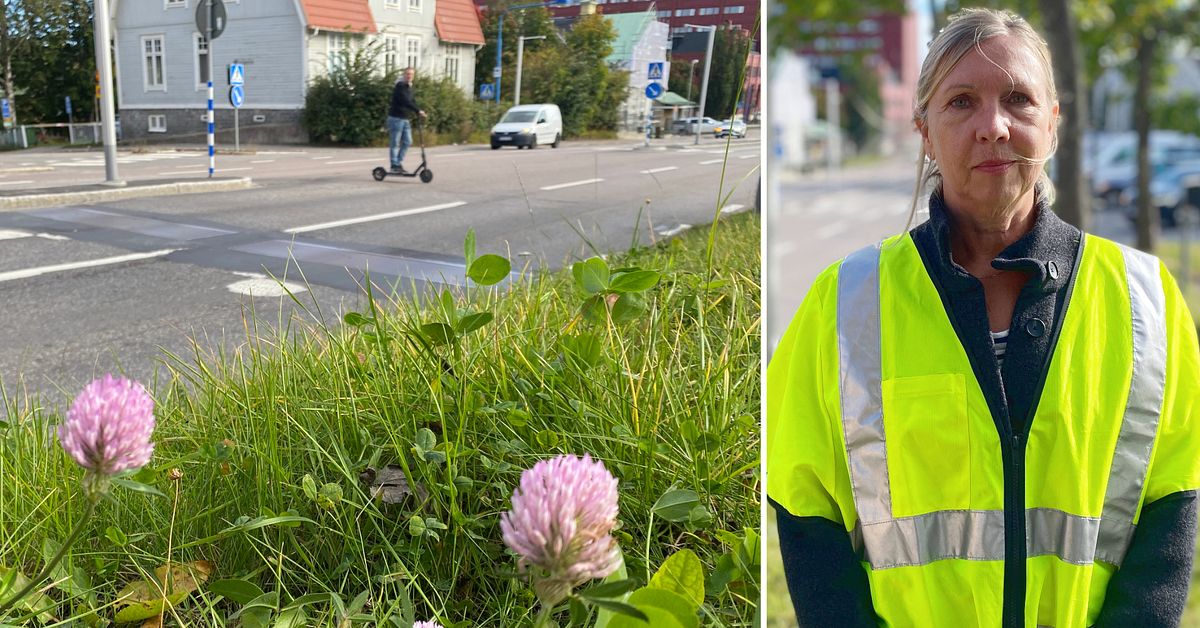 300 000 fortkörare på Bergsgatan i Sundsvall – aktiva farthinder har fått ner antalet