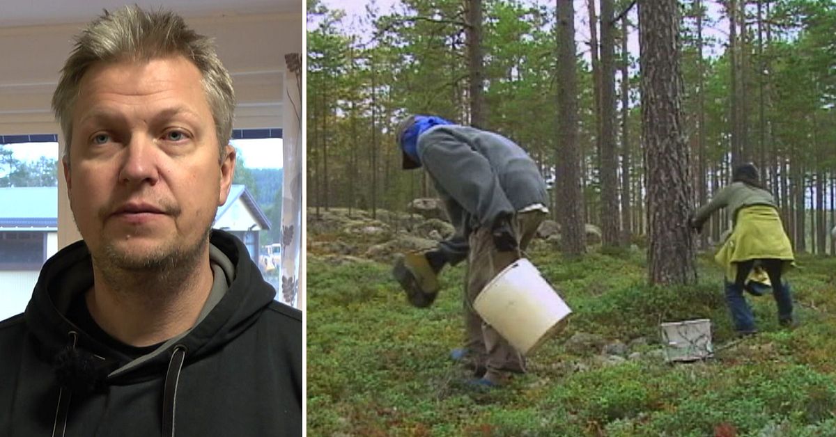 www.svt.se