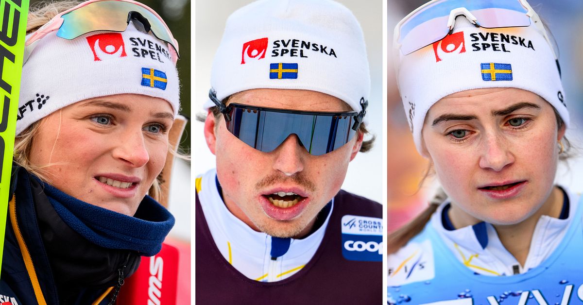 Svenska stjärnornas nobb: ”Blir det värt att åka?”