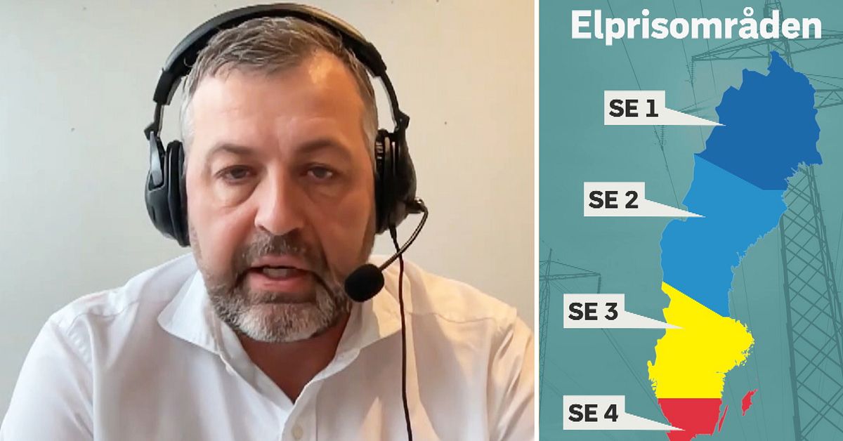 Handelskammarens larm: Hundratusentals jobb hotade av elprisområdena