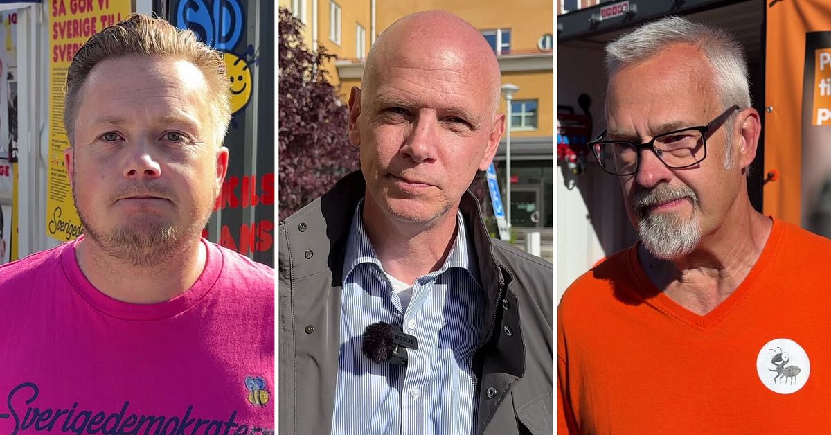 SD vill begr&auml;nsa gratis tolk i v&aring;rden: &rdquo;Ansvar l&auml;ra sig svenska spr&aring;ket&rdquo;