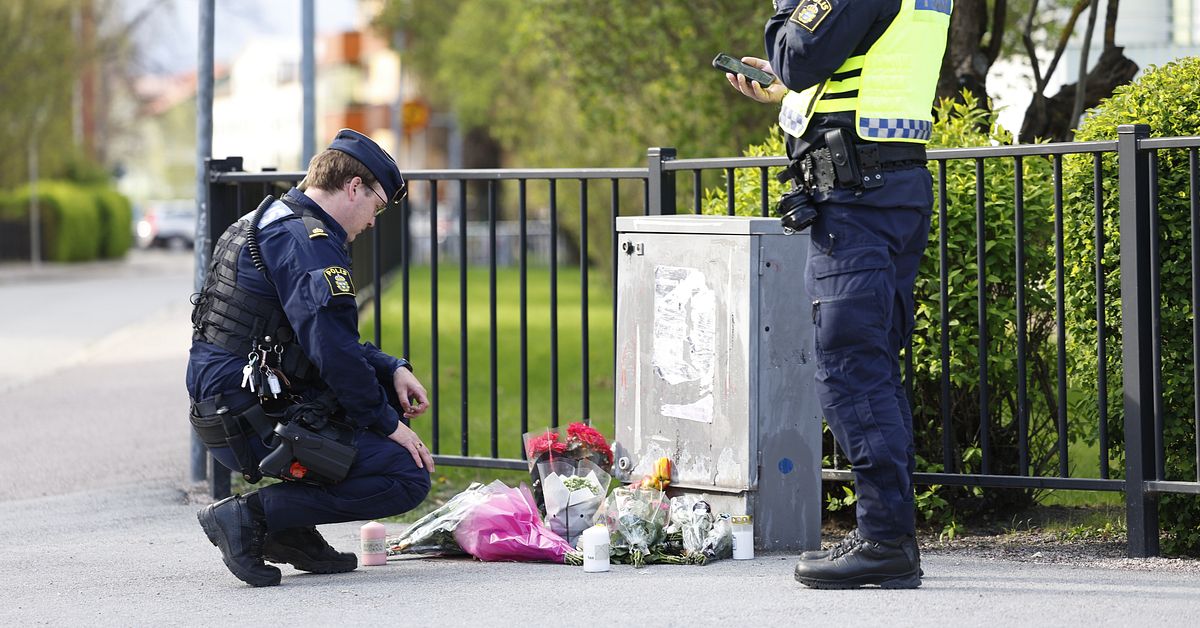 Uppgifter: Anhållen 16-åring släpps efter trippelmordet