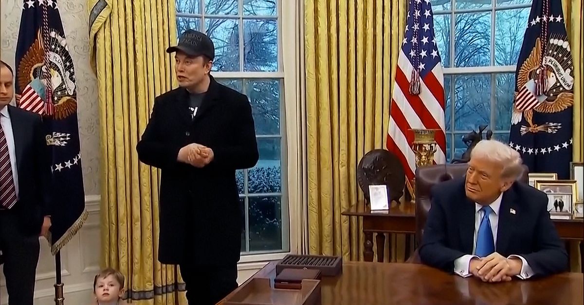 Musk kliver av Trumps specialuppdrag