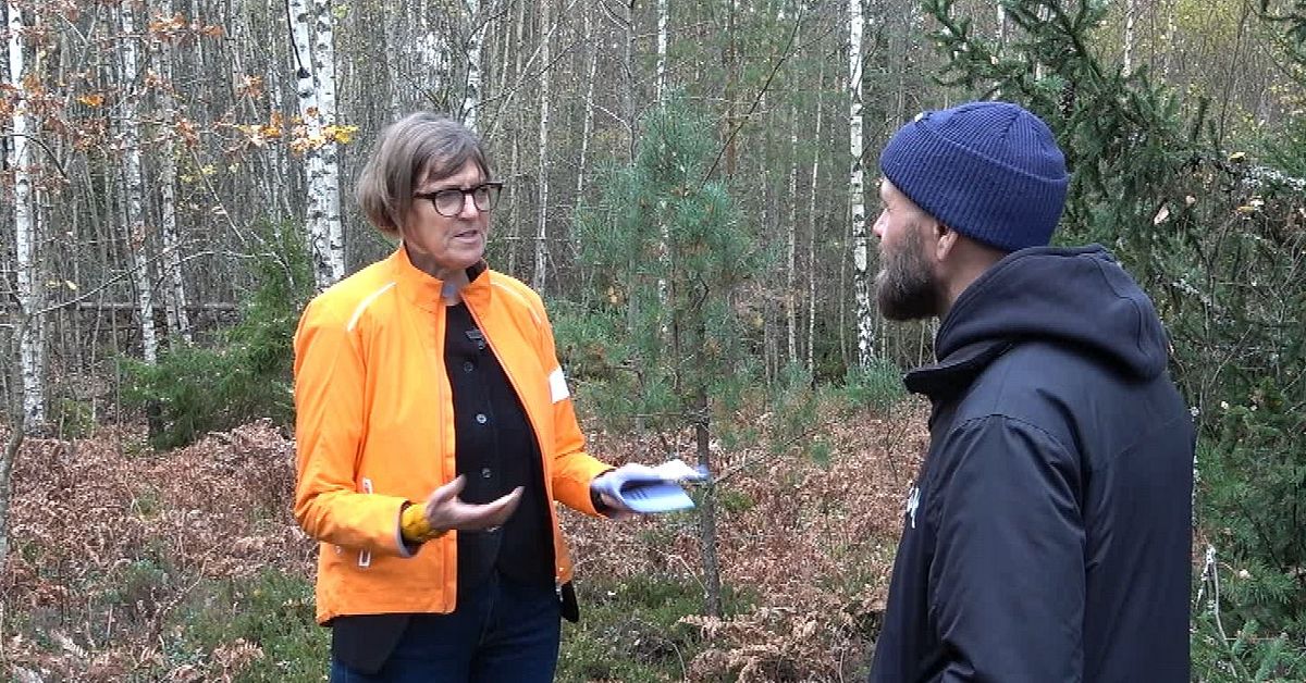 Så ska kommunen hålla koll på Senior Materials utsläpp