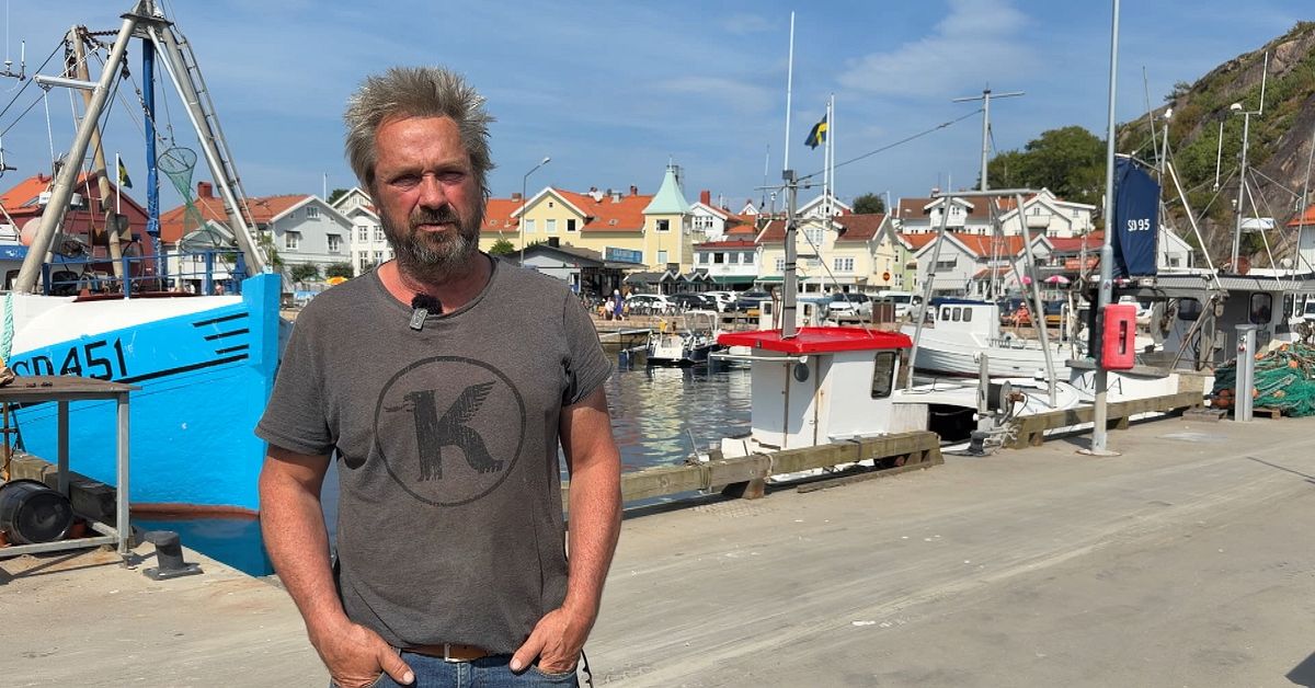 Fiskarens kritik mot planerade vindkraftverket utanf&ouml;r Grebbestad: &rdquo;Vansinne&rdquo;