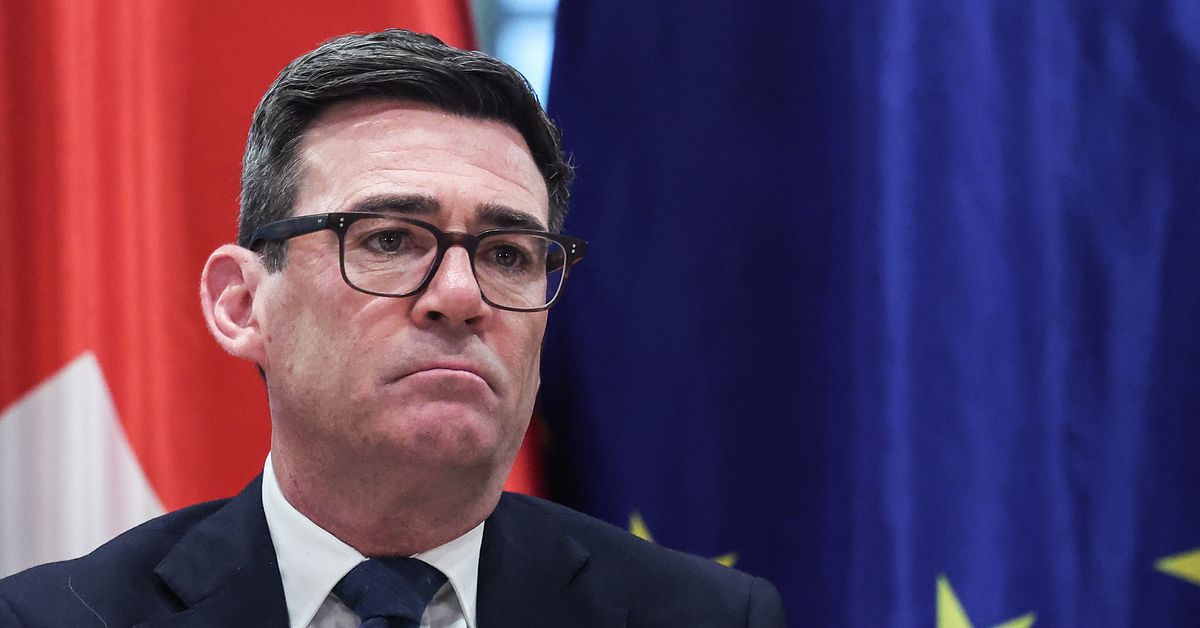 Burnham: Ryssland f&ouml;rs&ouml;kte p&aring;verka Brexit-omr&ouml;stningen