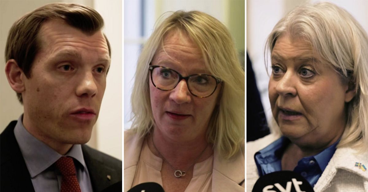 Johan Hultberg (M), Carina Ståhl Herrstedt (SD), ledamot socialutskottet, Camilla Waltersson Grönvall (M), Socialtjänstminister.