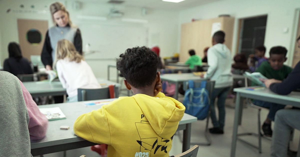 Investigator How Sweden can provide better support for pupils with disabilities Teller Report