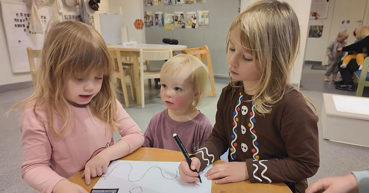 Delade &aring;sikter om syskongrupper i f&ouml;rskolan &ndash; professorn: &rdquo;Mycket problem&rdquo;