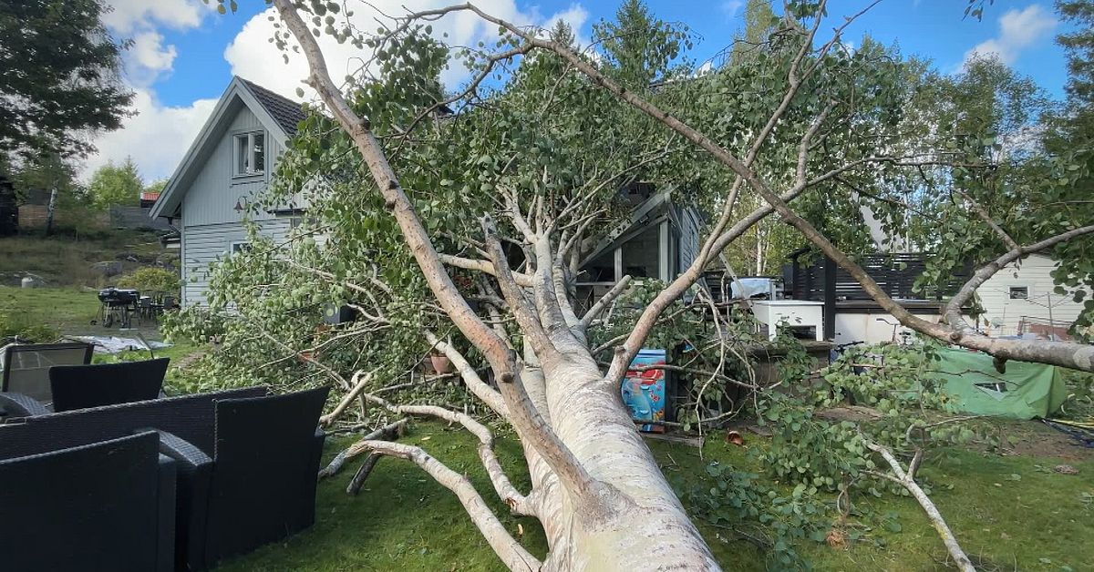 Livshotande skadeläge efter att träd rasat över altan i Södertälje
