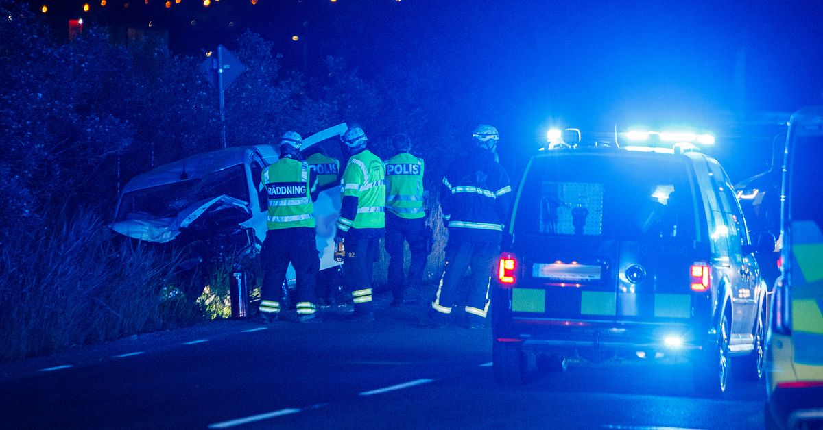 Hund d&ouml;d efter olycka &ndash; man misst&auml;nkt f&ouml;r drograttfylleri
