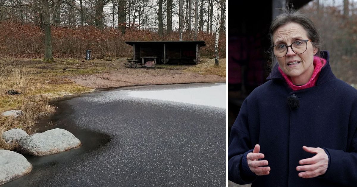 Två poliser delgivna brottsmisstanke – anmälde inte mördade kvinnans uppgifter om våldtäkt