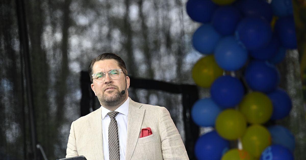 Åkesson: Sänk eller slopa moms på basvaror