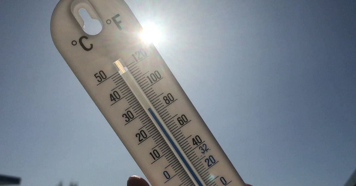 Studie: Klimatförändringar gjorde värmeböljan i Norrland två grader varmare