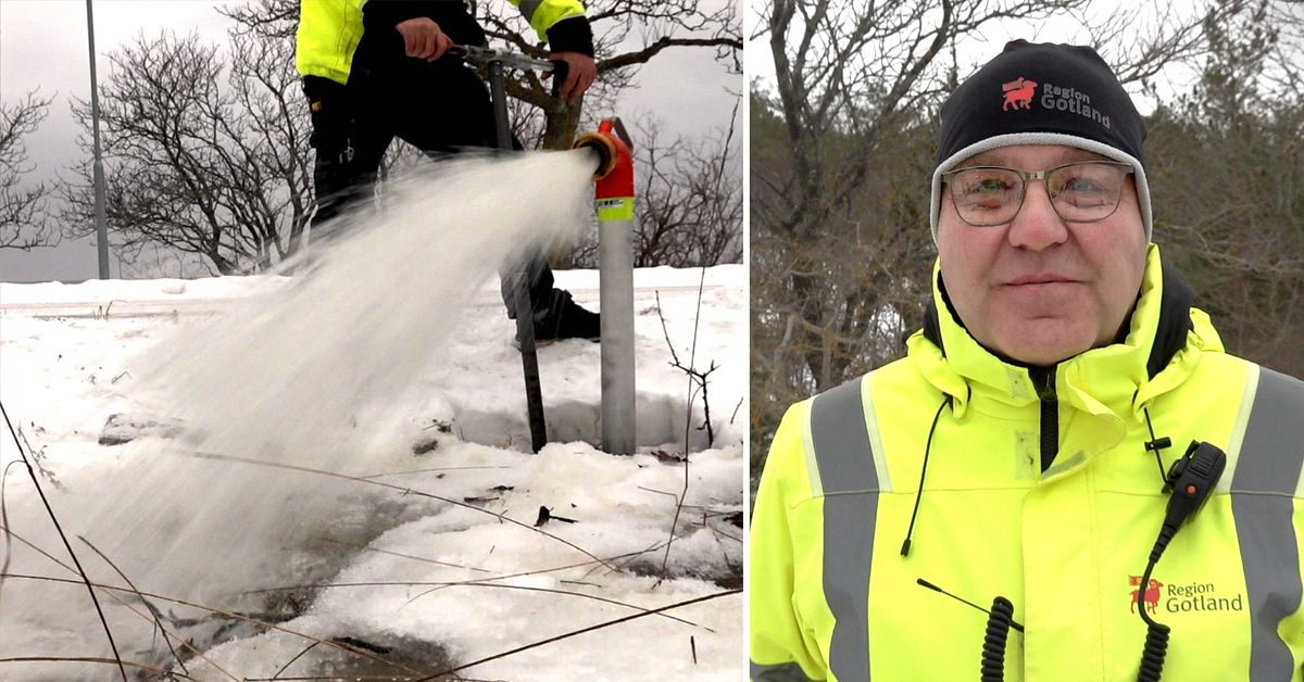 Nu spolas vattenledningarna i Visby &ndash; parasiter ska bort