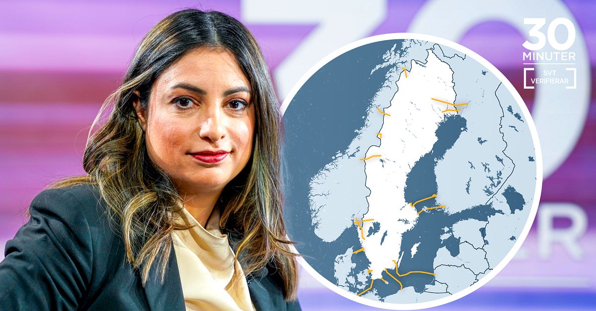 &rdquo;Kraftigt &ouml;verdrivet&rdquo; &ndash; experterna om Dadgostars (V) kabelattack