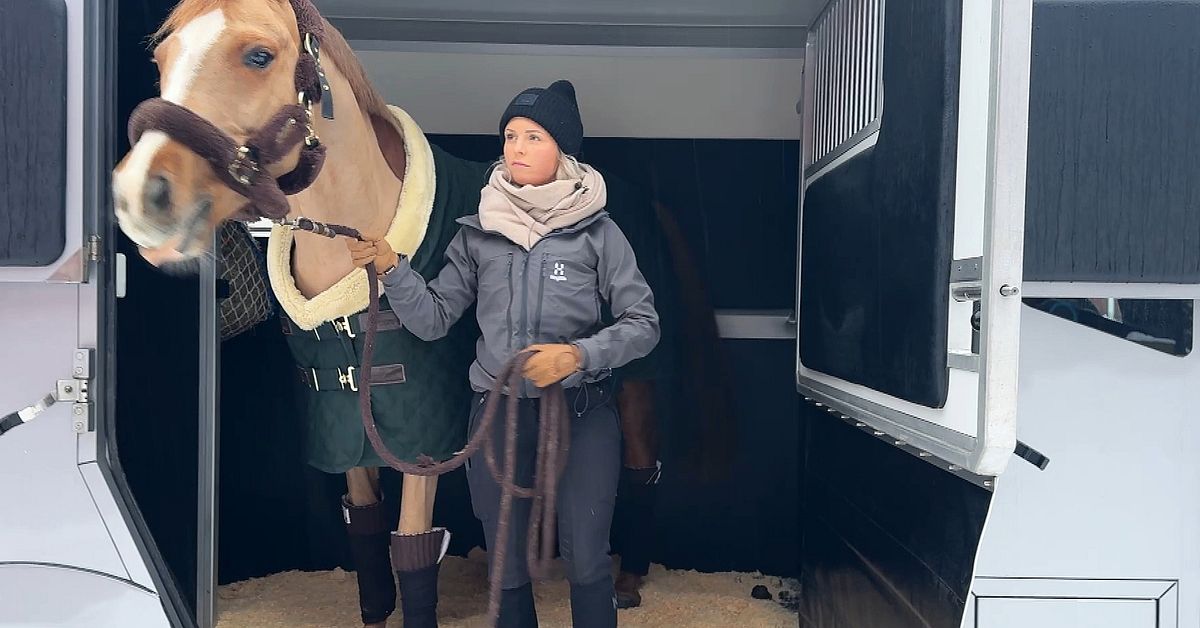 Julia trotsade konkursv&aring;gen &ndash; startade h&auml;sttaxi i Dalarna