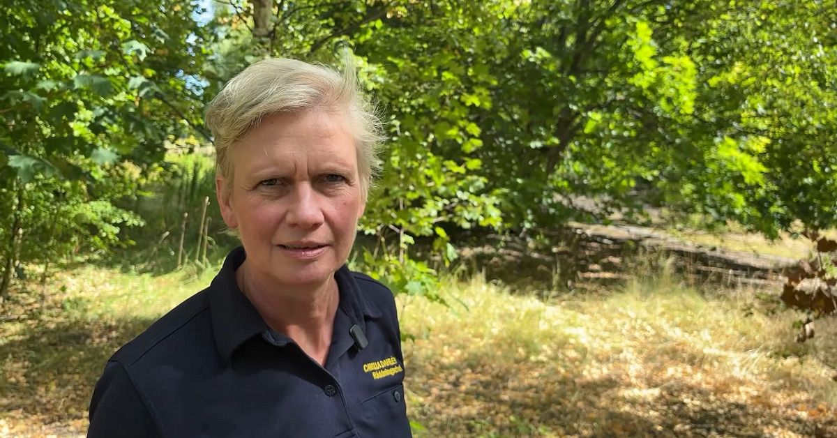 Eldningsf&ouml;rbud inf&ouml;rs i Eskilstuna: &rdquo;Extremt torrt i skog och mark&rdquo;