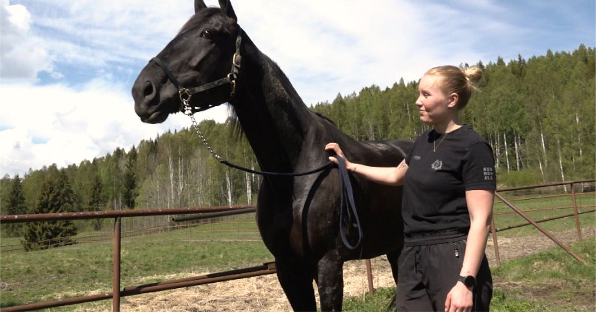 Bergs&aring;kersh&auml;star klara f&ouml;r Elitlopp: &rdquo;Byggd som en superatlet&rdquo;