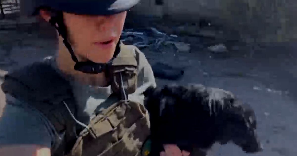 De riskerar sina liv f&ouml;r att r&auml;dda djur vid fronten i Ukraina