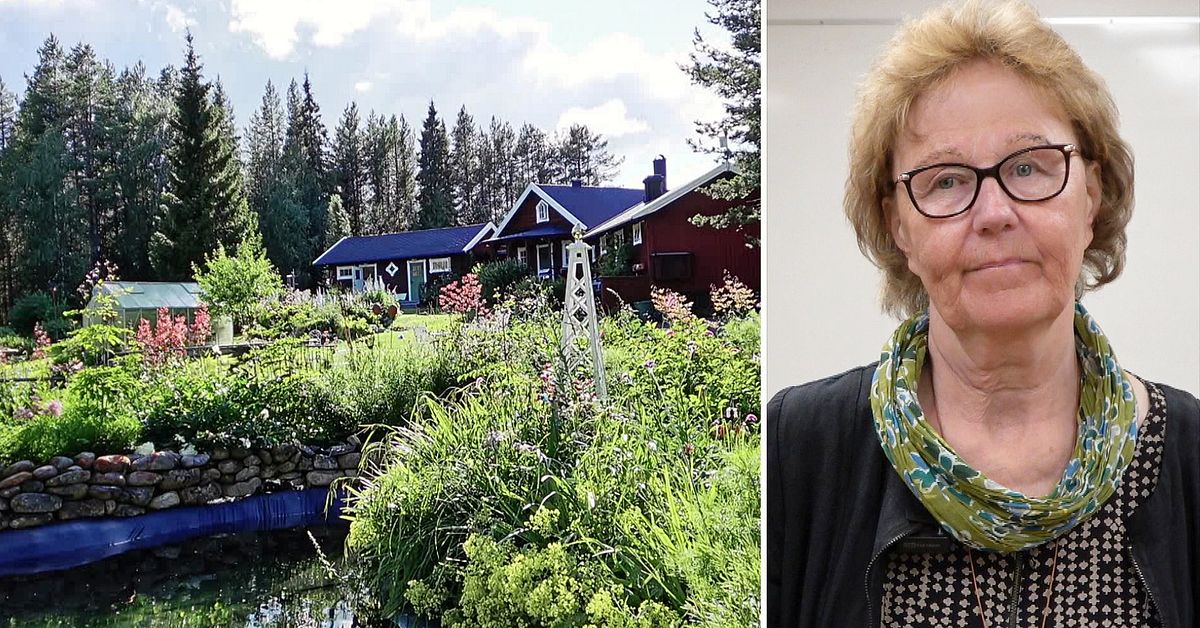 Så lyckas du med din trädgård i norr – Majvor: ”Tålamod”