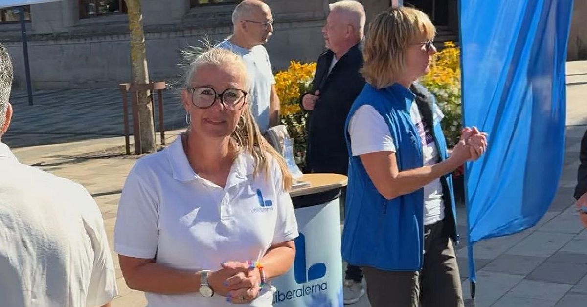 S&aring; k&auml;mpar lokala Liberalerna f&ouml;r partiets &ouml;verlevnad: &rdquo;Vi k&ouml;r in i kaklet&rdquo;