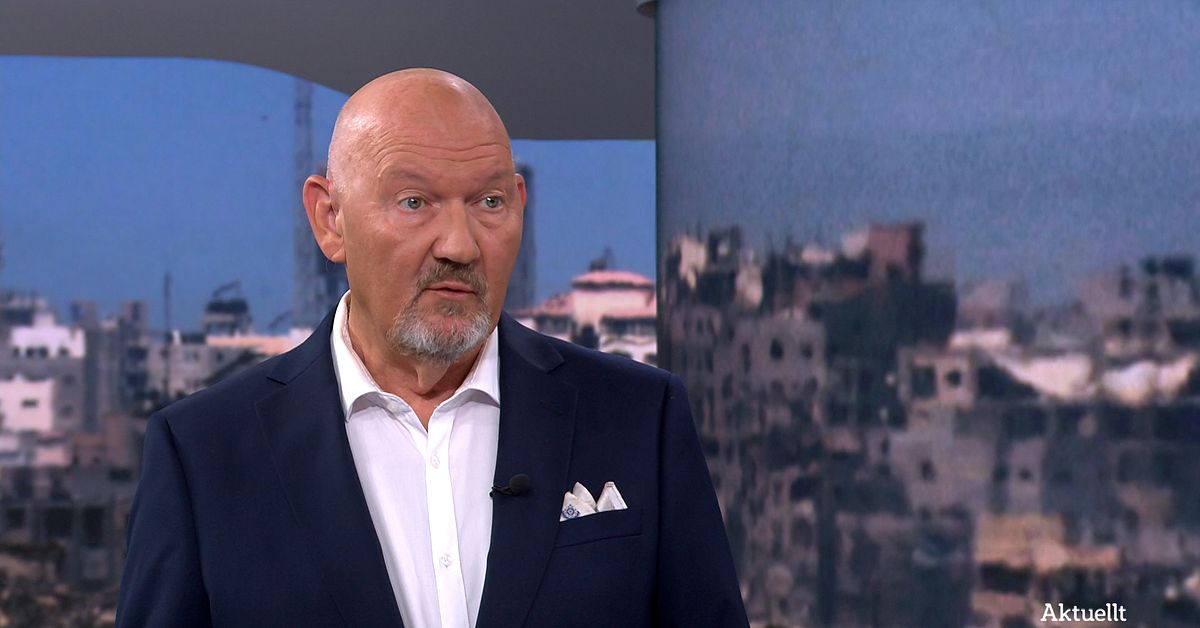 Professorn om Hamas: ”Har försvagats i stort”