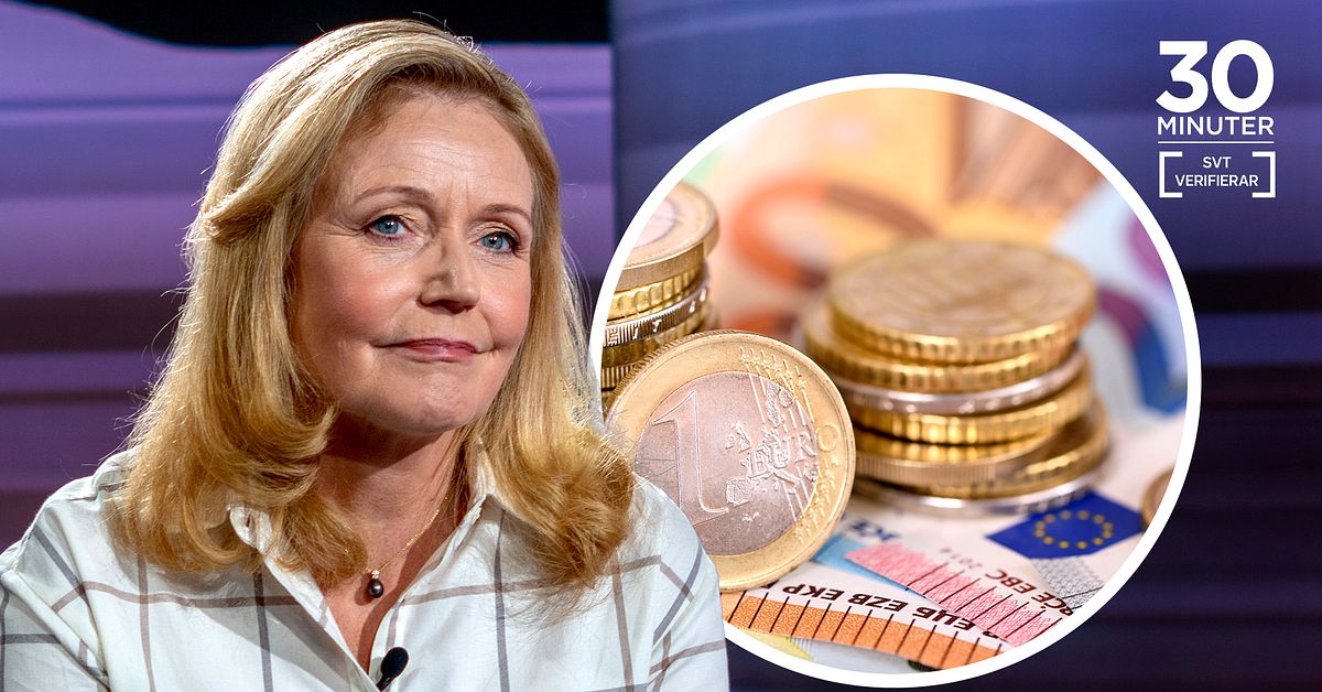C-ledaren vill ha euro i Sverige &ndash; men experter ratar hennes argument: &rdquo;Svagt&rdquo;