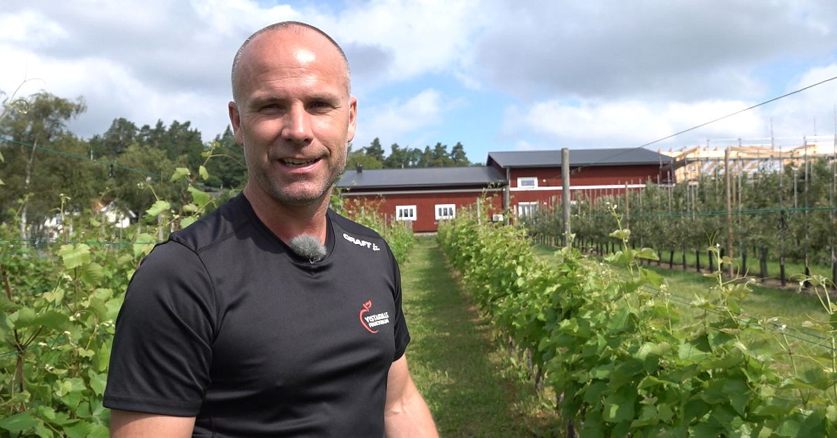 Efter införandet av gårdsförsäljning: ”Vinet har nästan tagit slut”