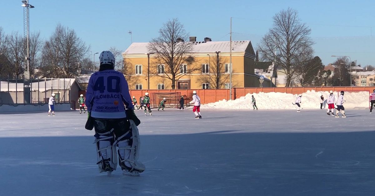 De svenska spelarna r&auml;ddade den finska damernas bandyliga
