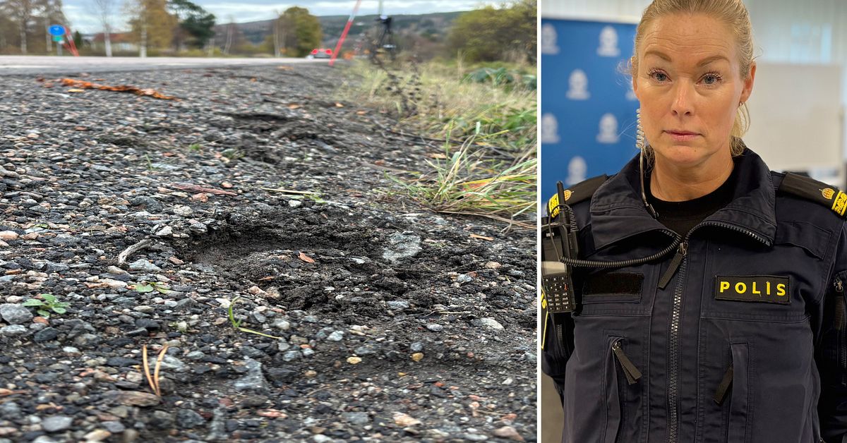 Polisen: S&aring; misst&auml;nks h&auml;stolyckan i Timr&aring; ha g&aring;tt till
