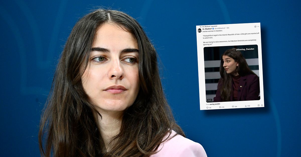 P&aring;hittat citat fr&aring;n Romina Pourmokhtari blir politiskt slagtr&auml; internationellt