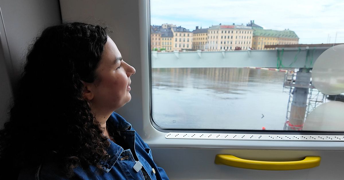Kritiken: Nya cykelbron i Slussen t&auml;cker utsikten mot Gamla stan