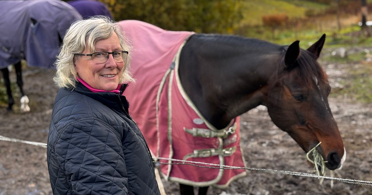 Älgjakten får ryttare att tänka till om uteritt